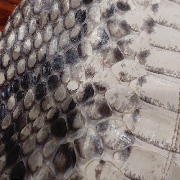 Massimo Dogana Real Python Leather Heels - Picture 3 of 8